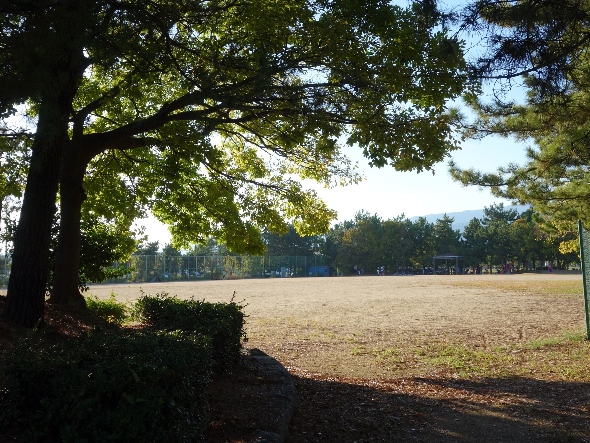 甲子園浜海浜公園