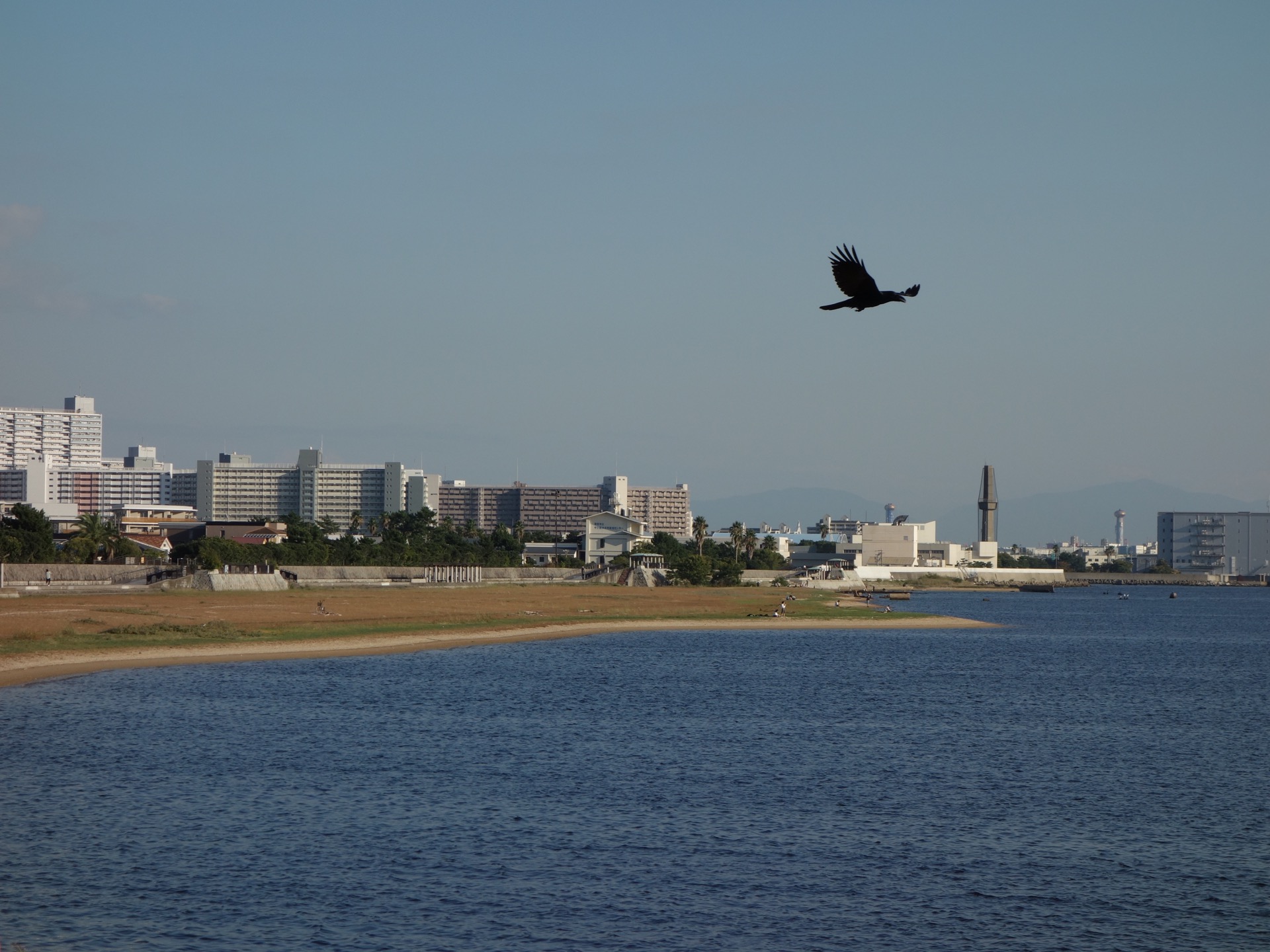 甲子園浜海浜公園