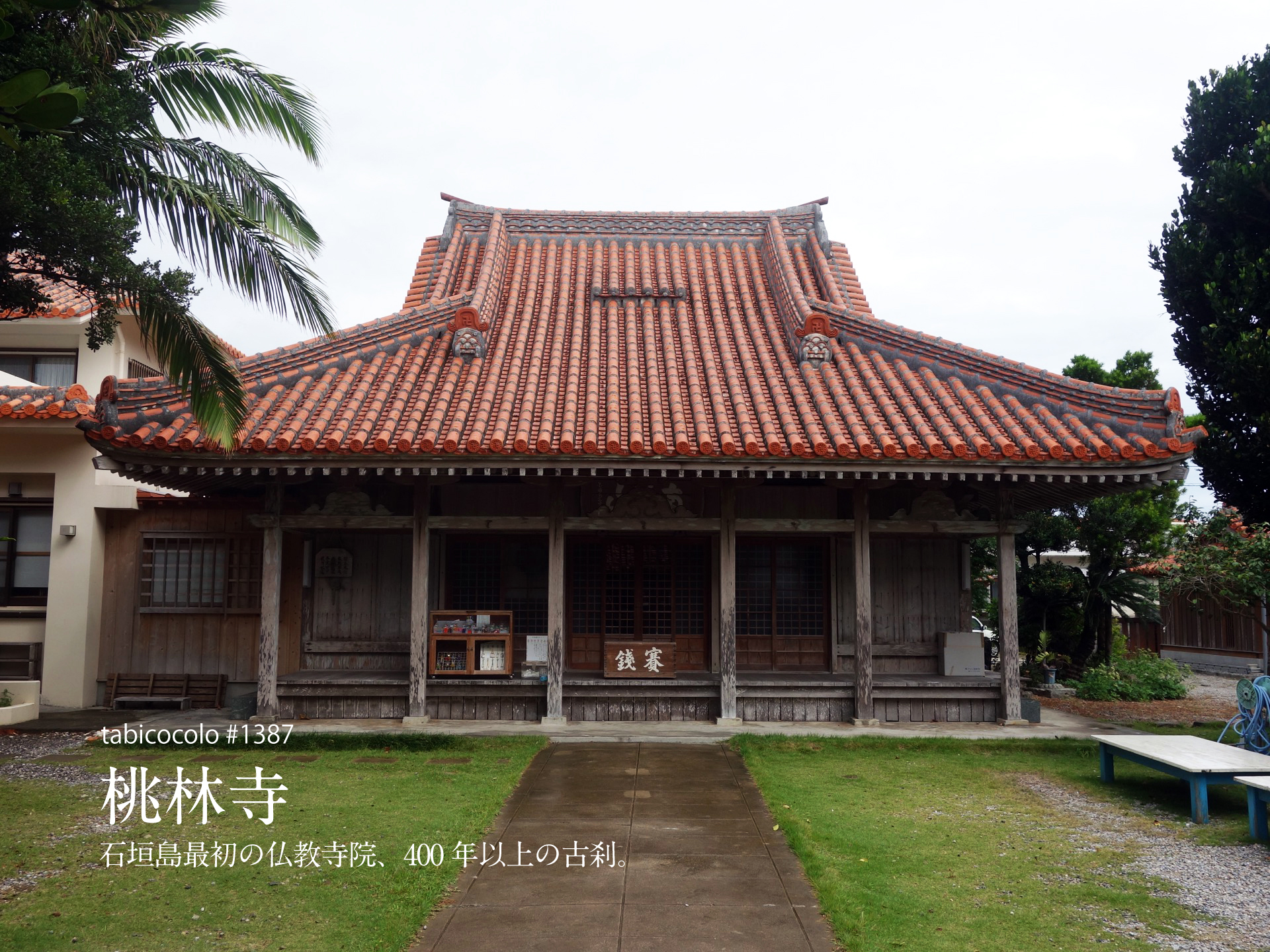 桃林寺