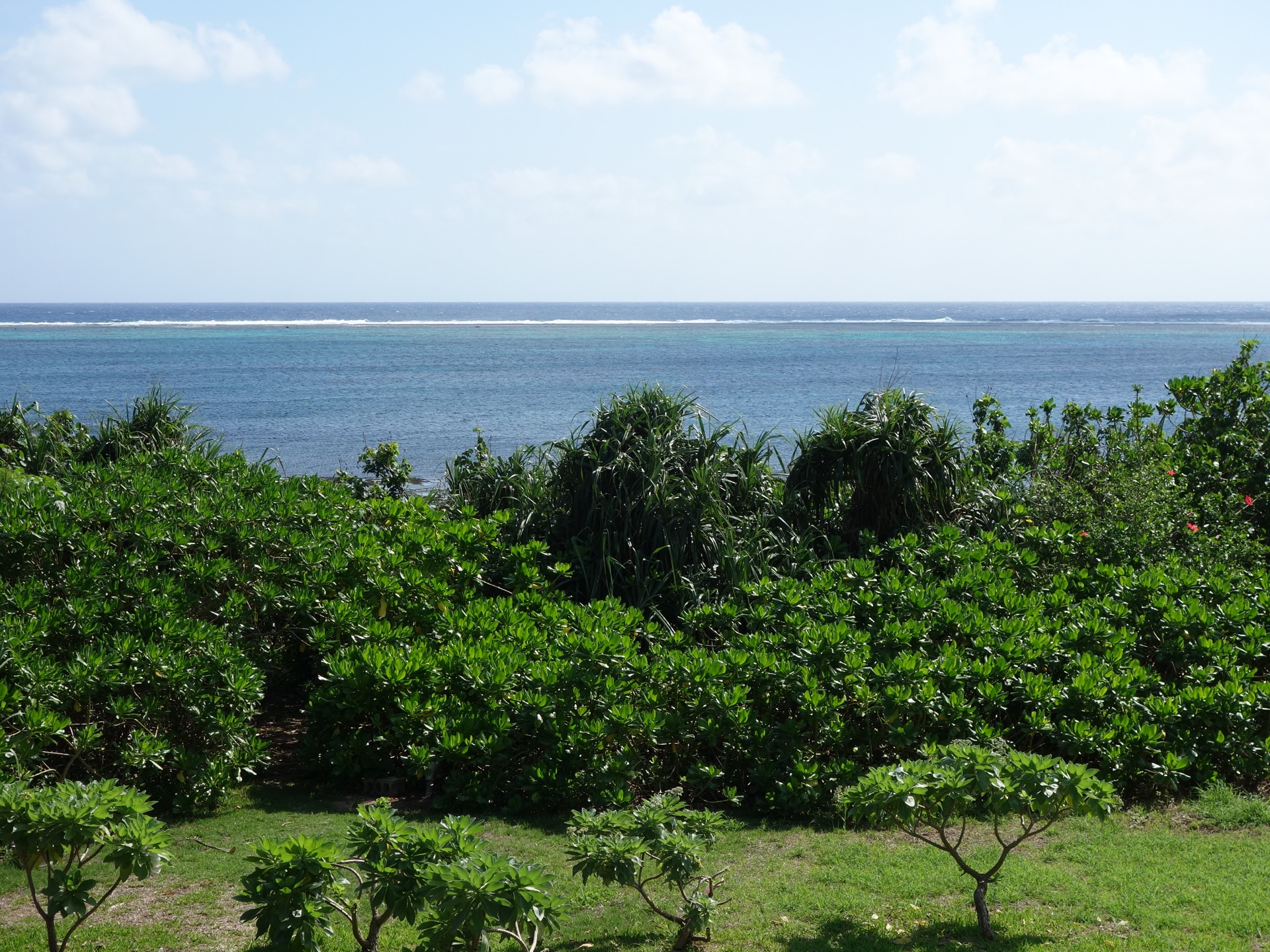 石垣島