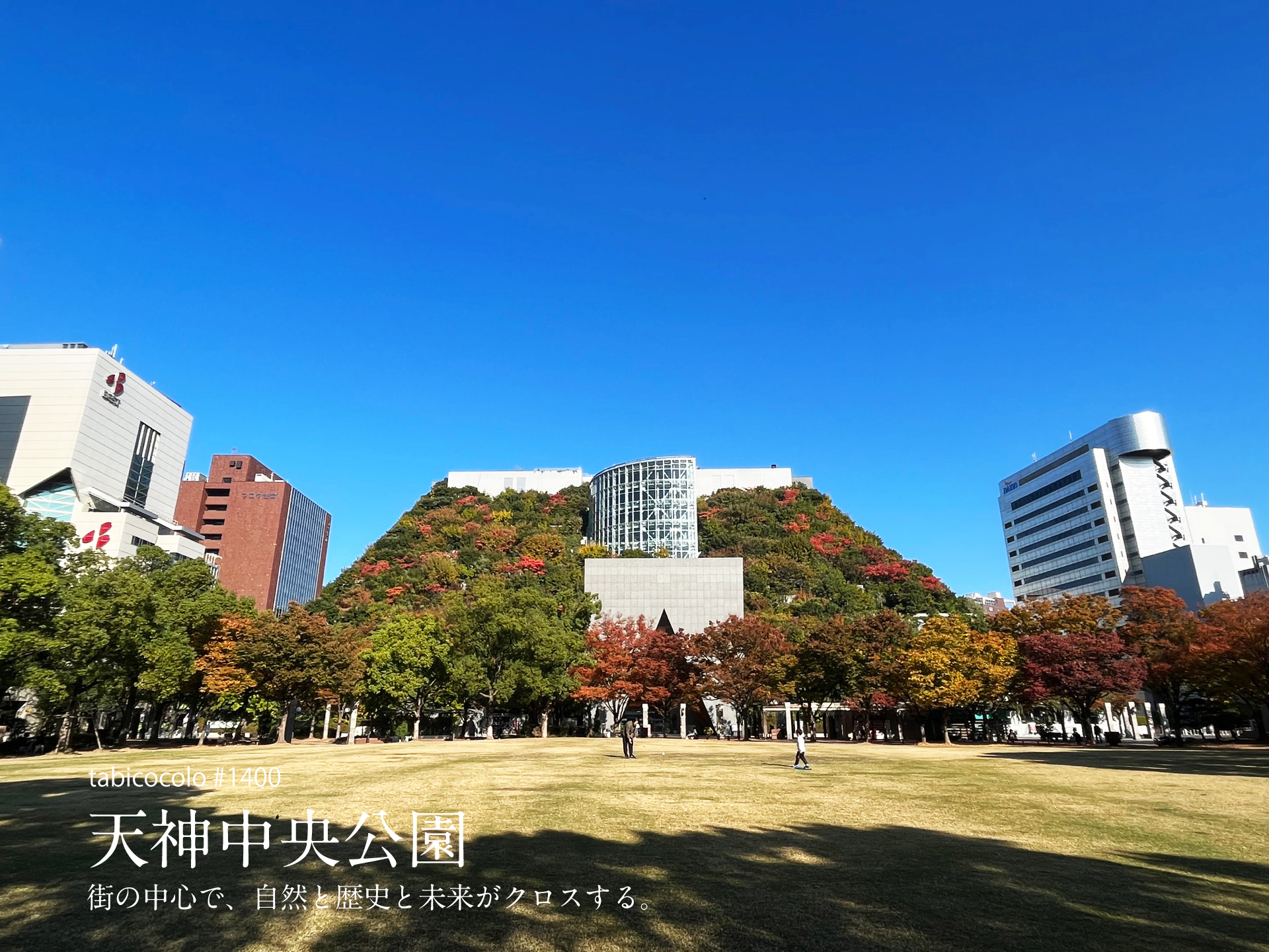 天神中央公園