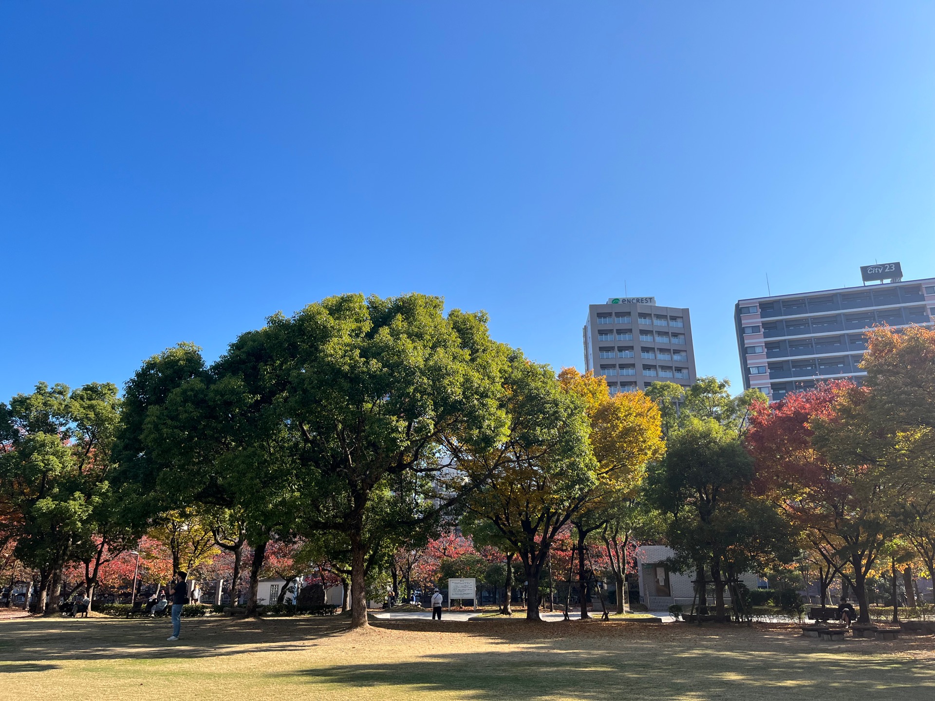 天神中央公園