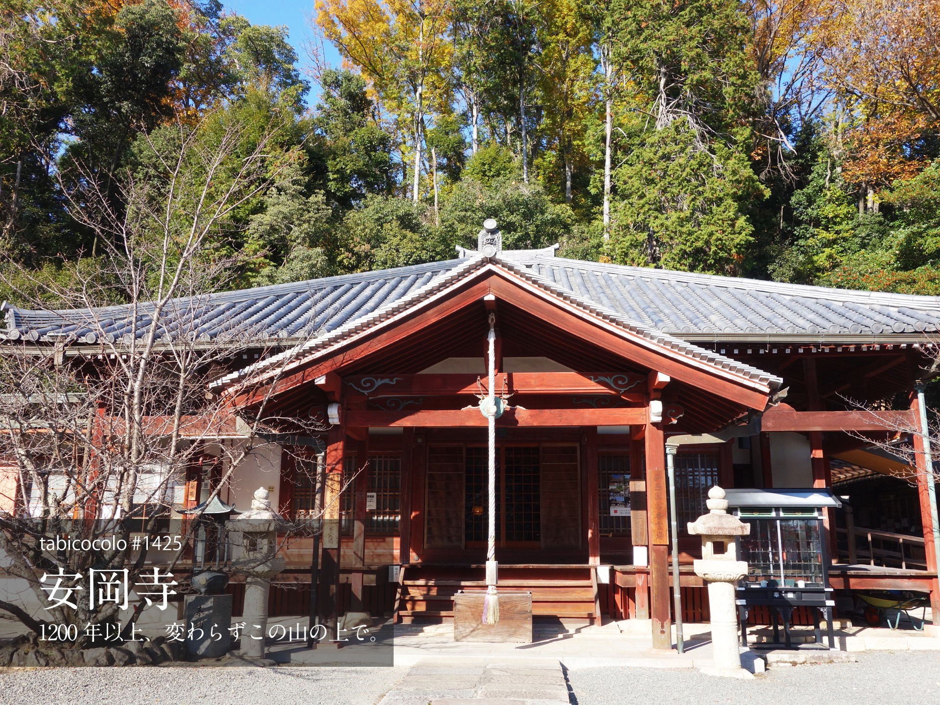 安岡寺