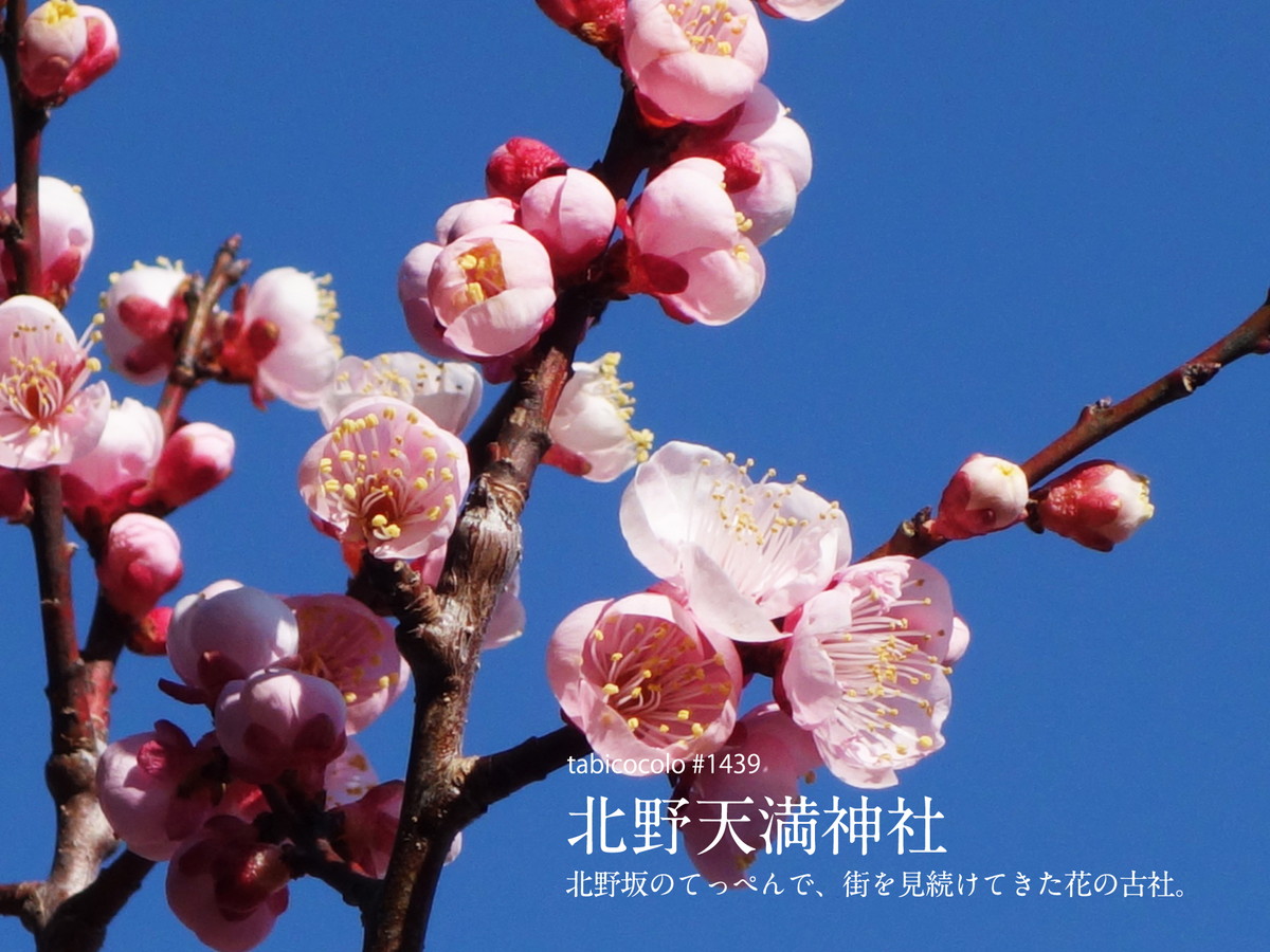 北野天満神社