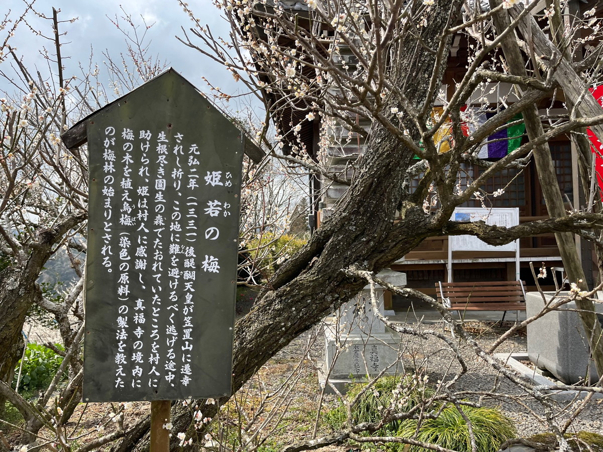 真福寺