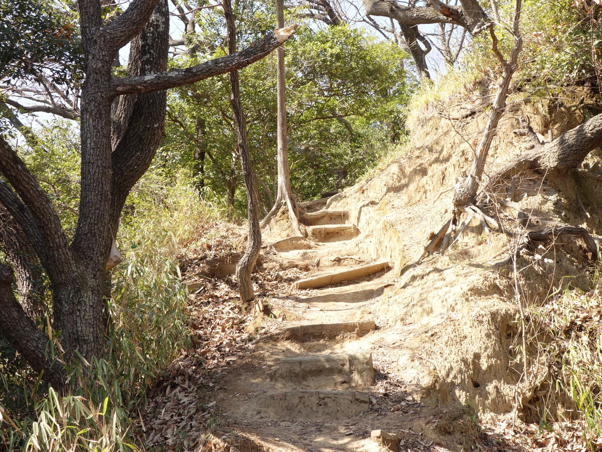 会下山遺跡