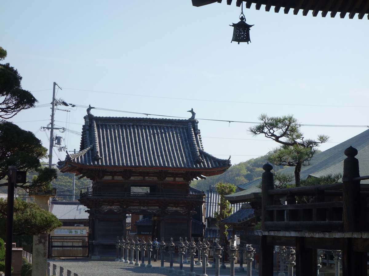 酒見寺