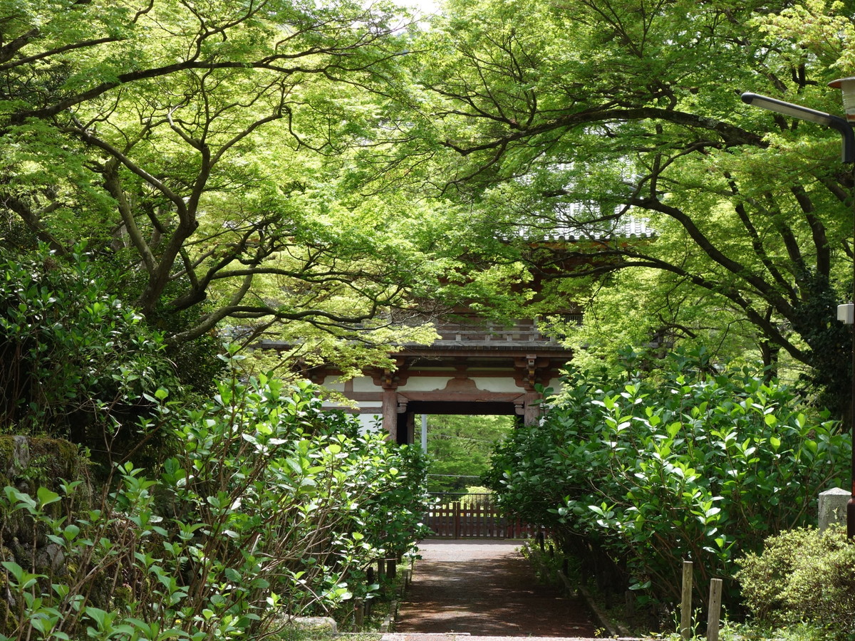 久安寺