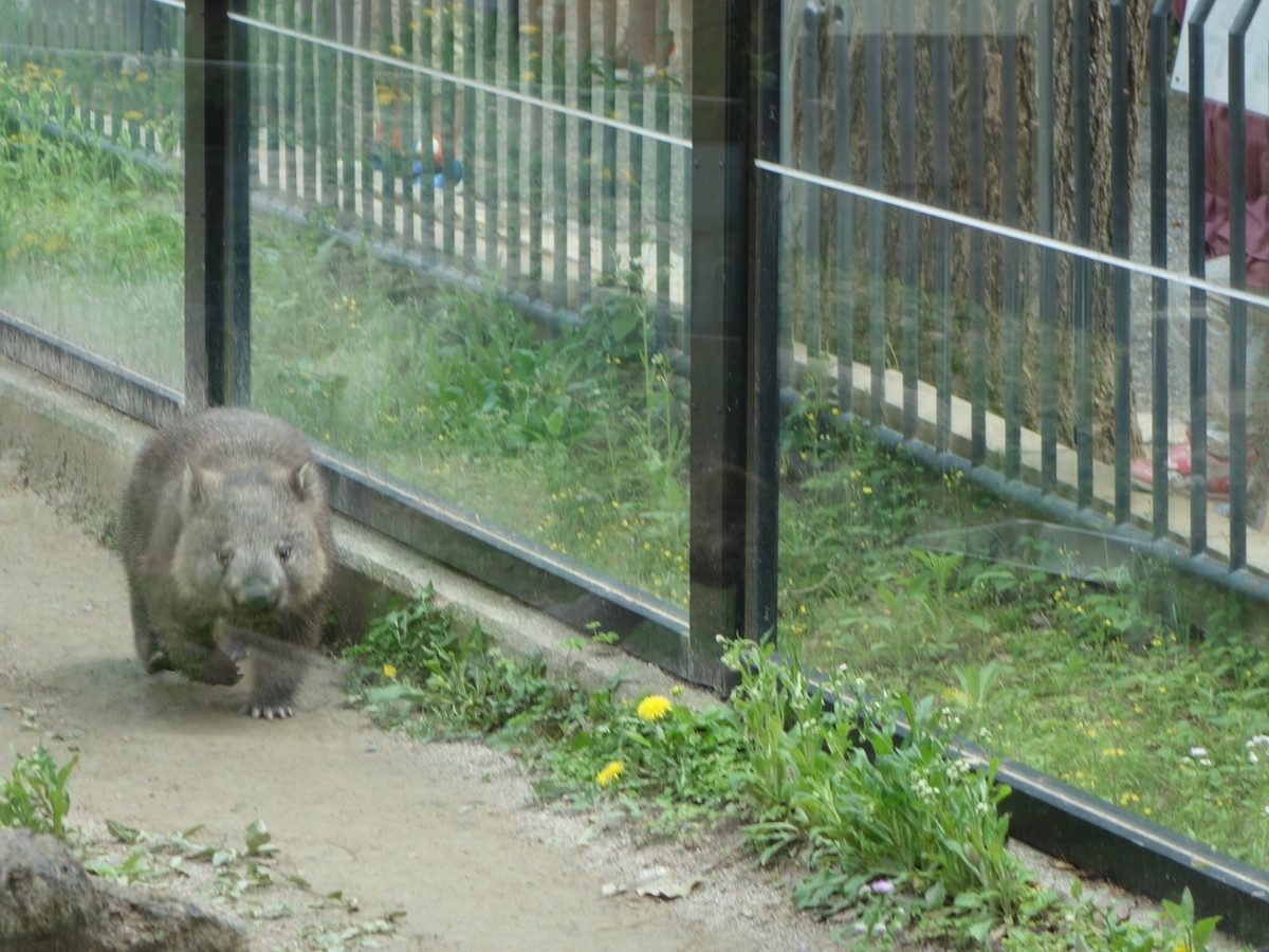 五月山動物園