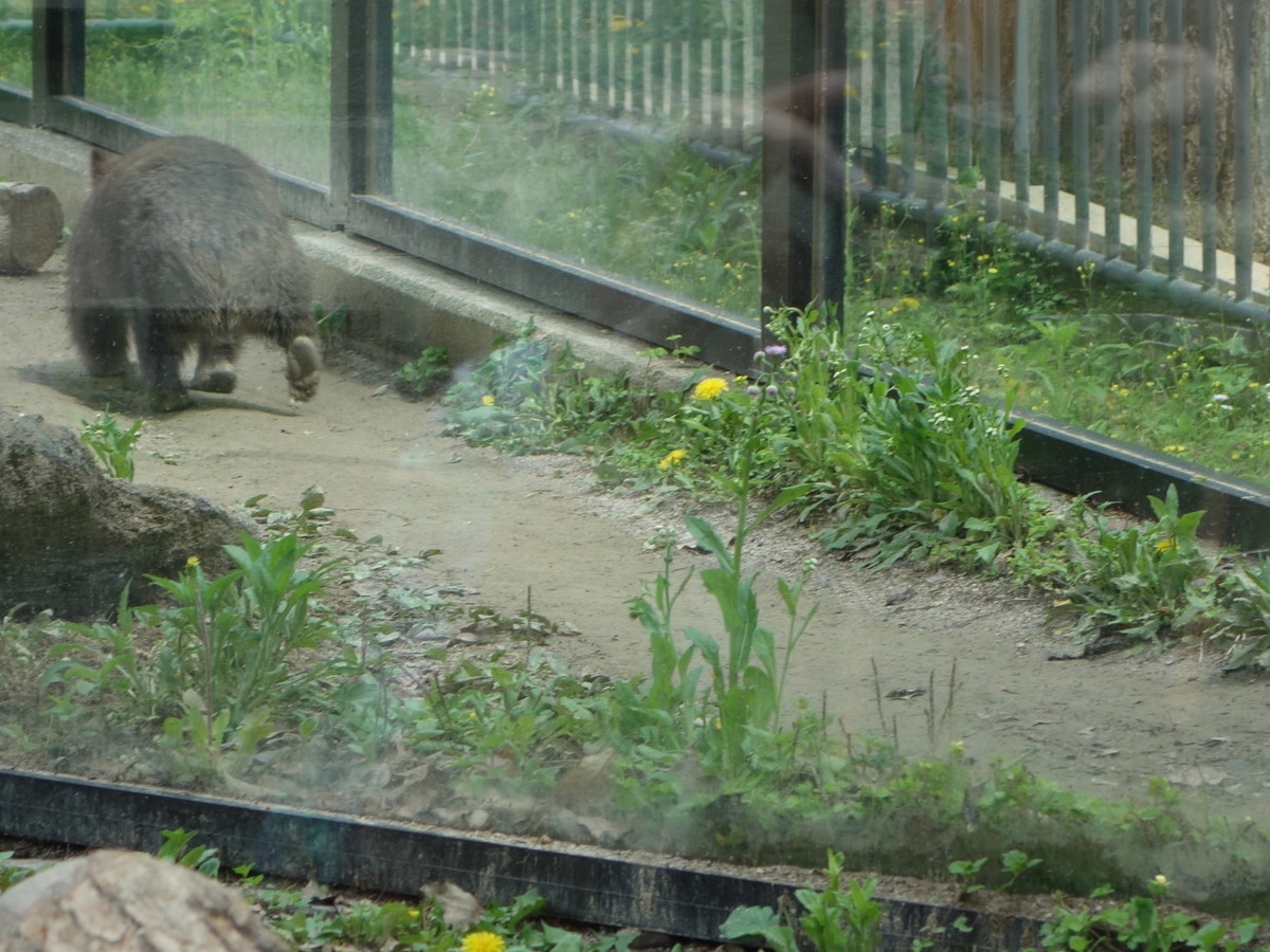 五月山動物園