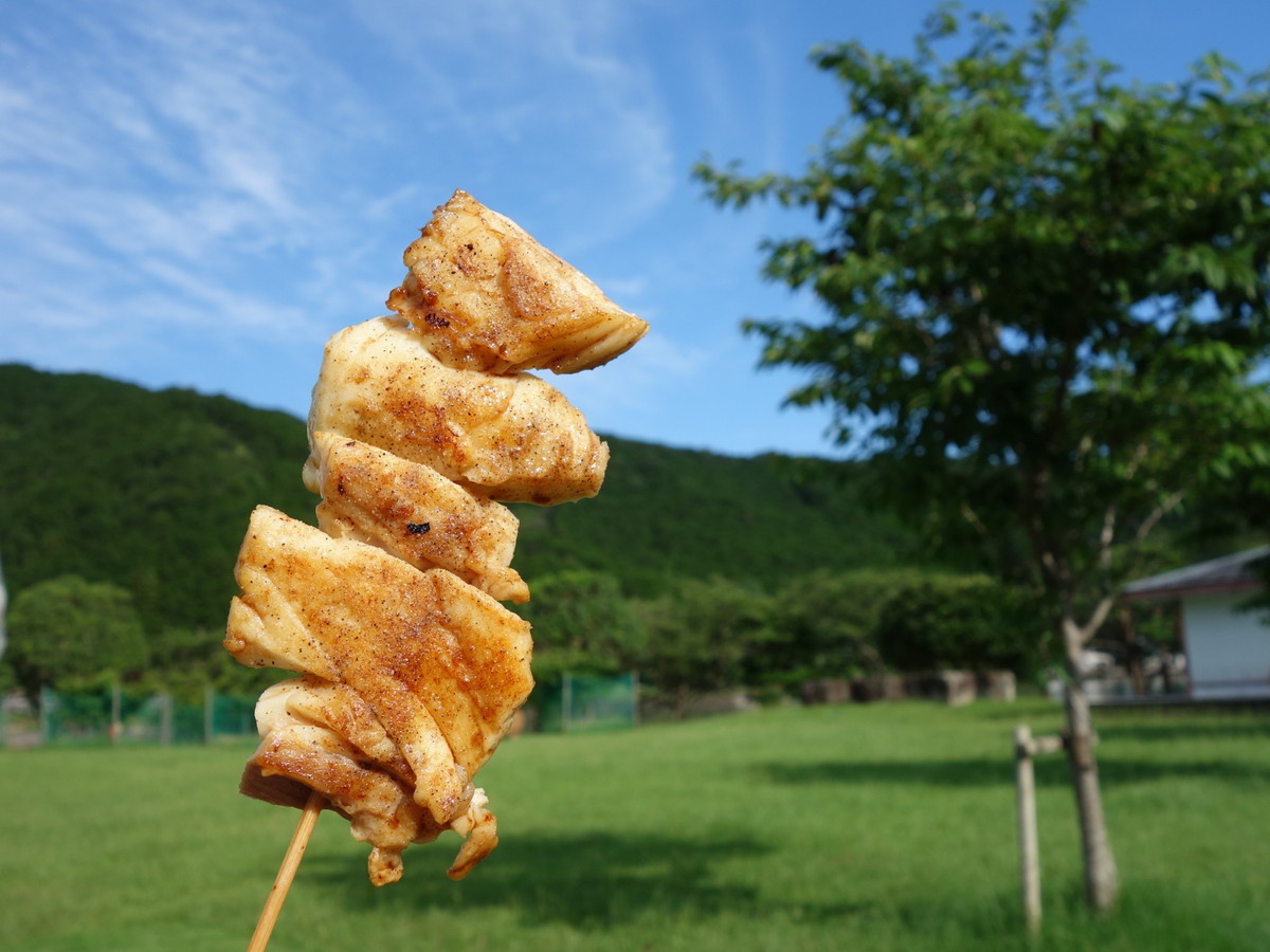 道の駅紀伊長島マンボウ