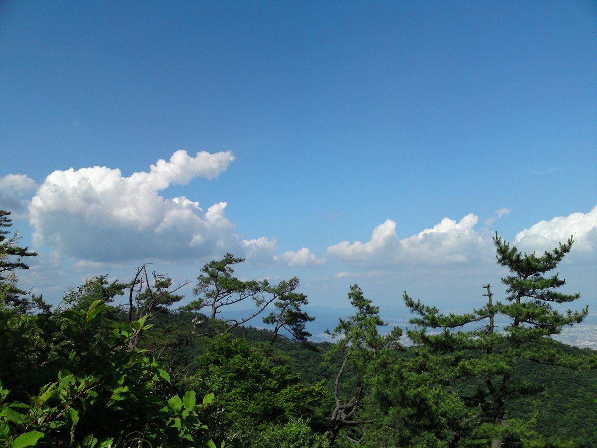 (六甲山の名も無き)展望台