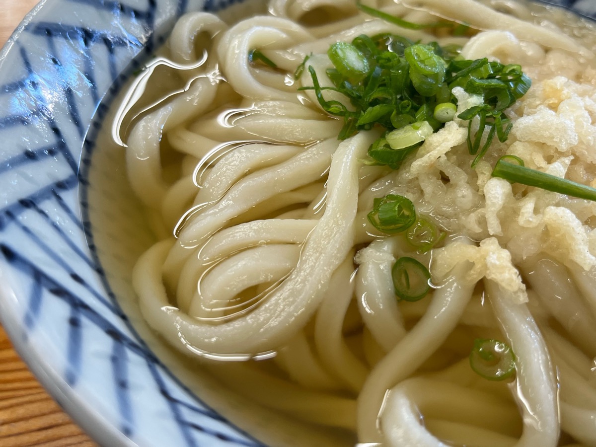 さか枝うどん・讃岐うどん
