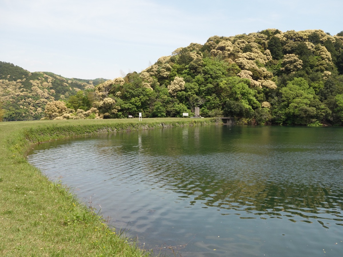 亀池
