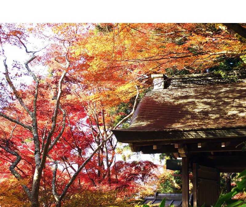 瑞宝寺公園