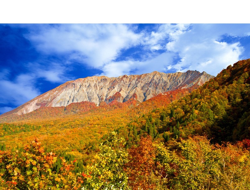 大山環状道路