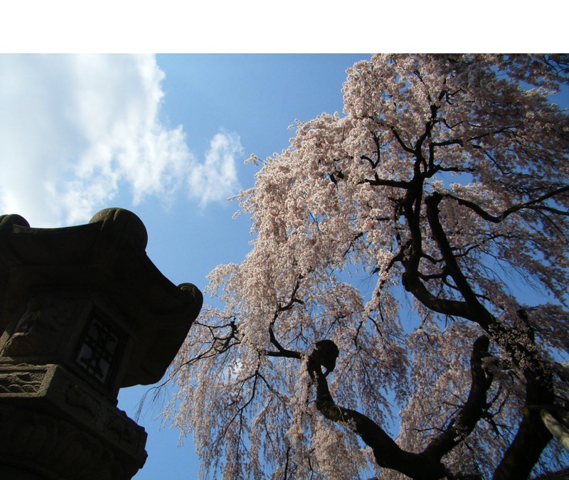 氷室神社