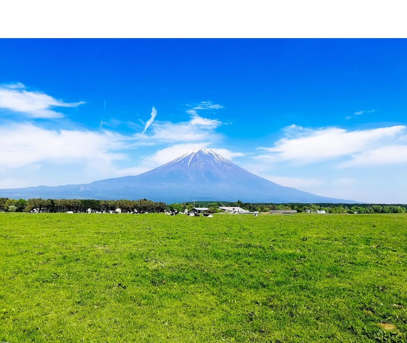 朝霧高原