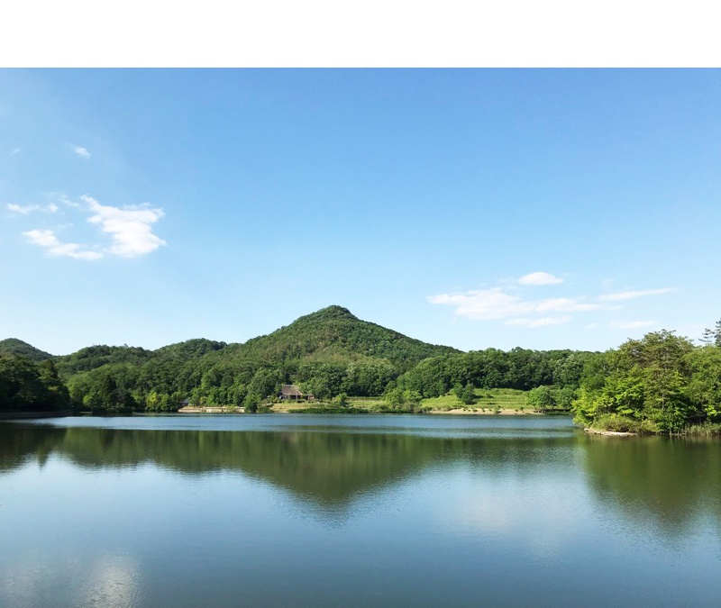 有馬富士公園