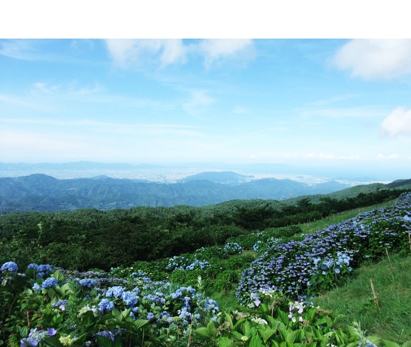 大川原高原