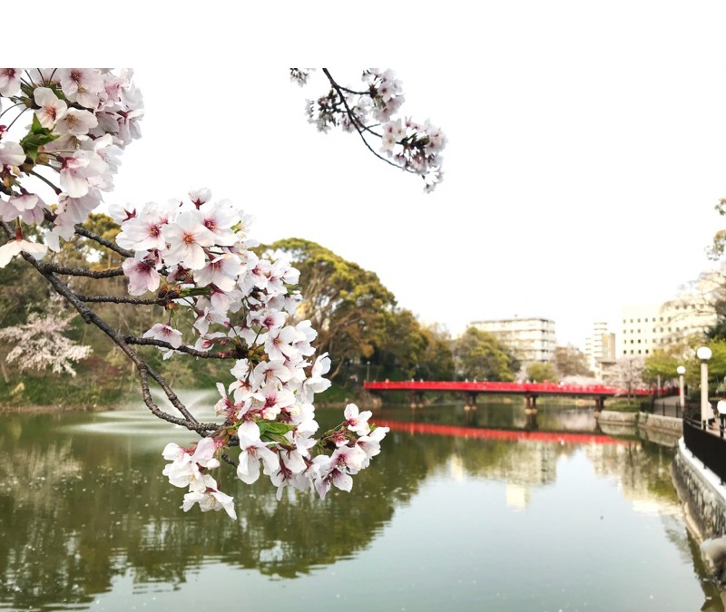 天王寺公園