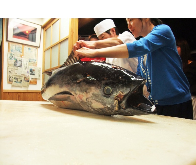 桂城・まぐろ料理