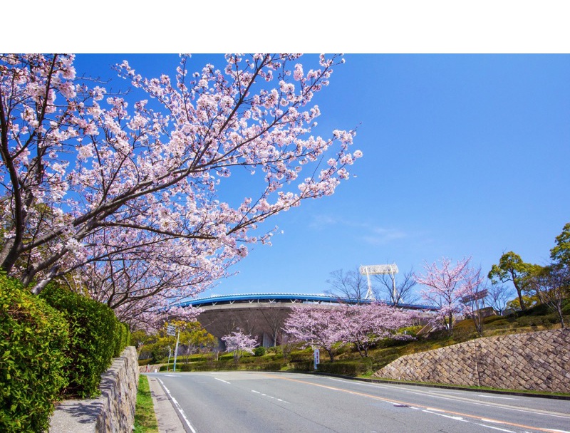 神戸総合運動公園