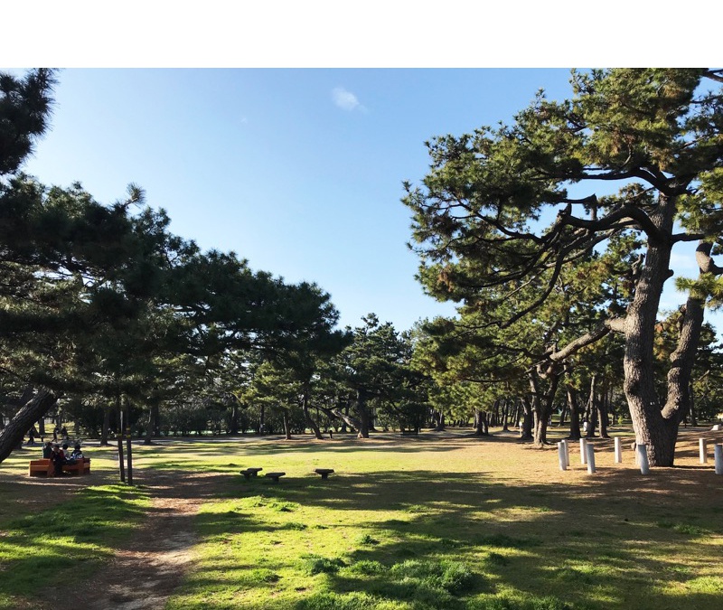 浜寺公園