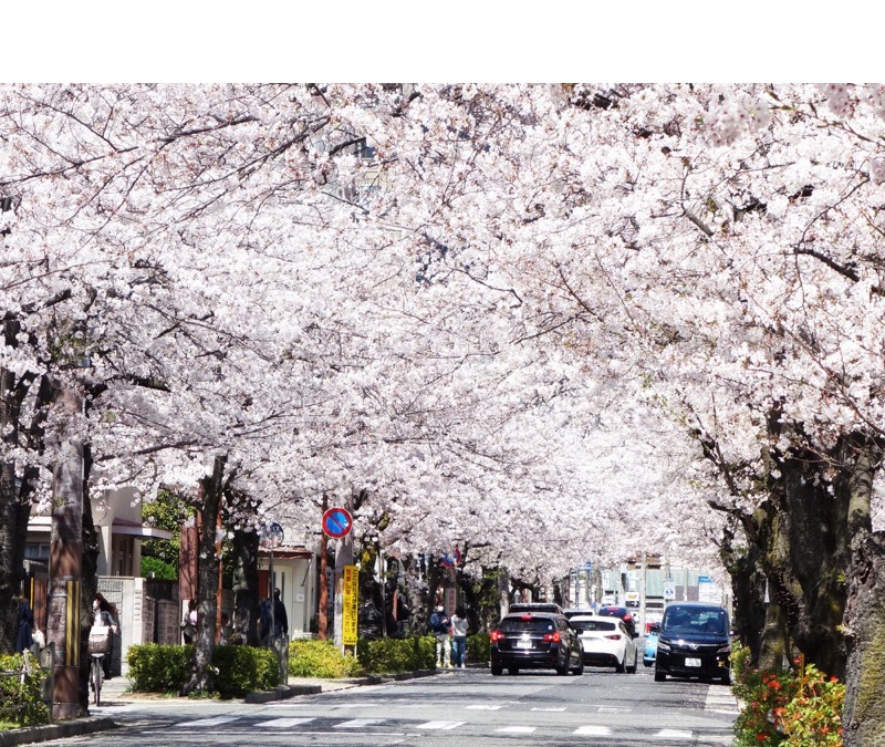 茶屋之町