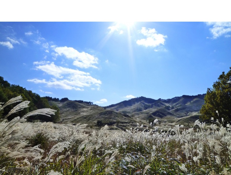 砥峰高原