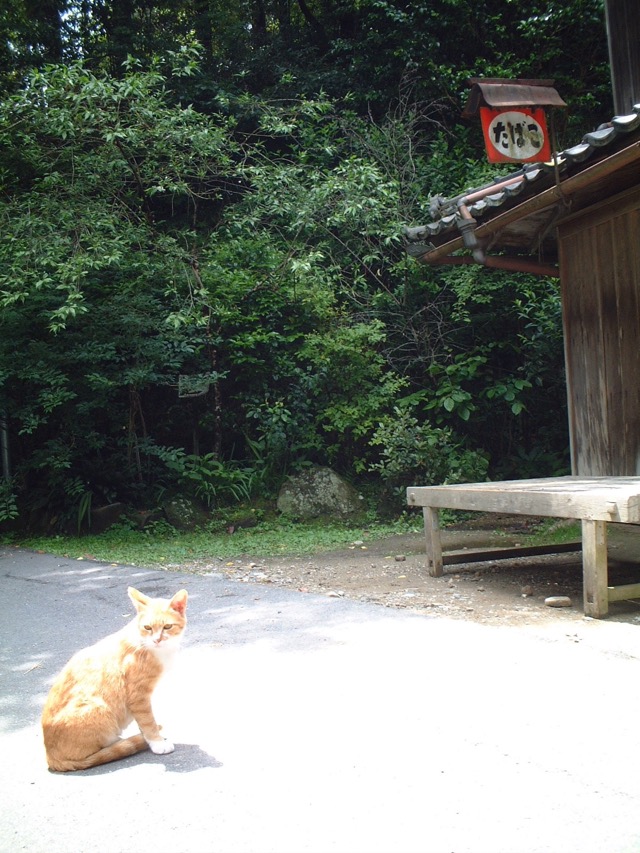 峠の茶屋