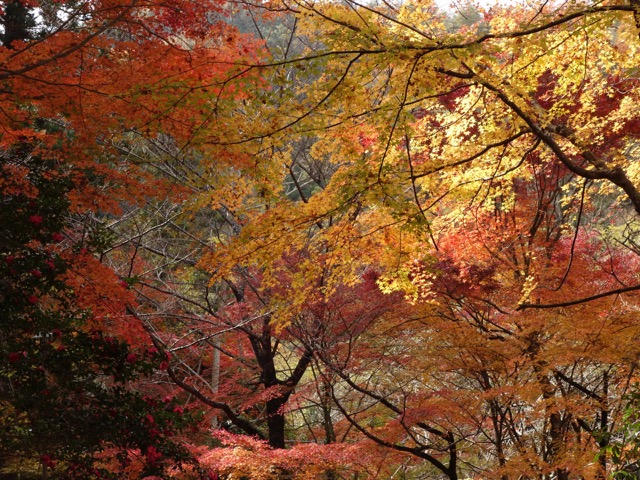 瑞宝寺公園