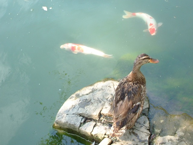 閑谷学校