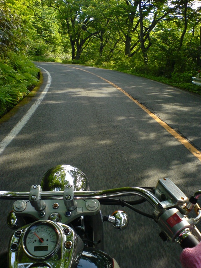 大山環状道路