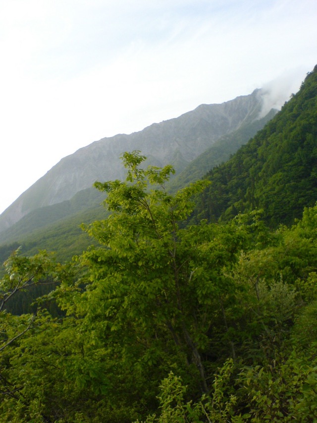 大山環状道路