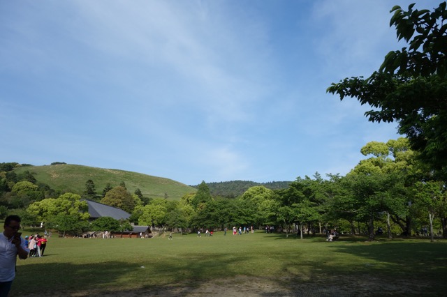 奈良公園