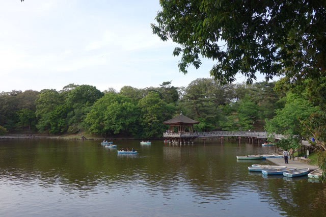 奈良公園