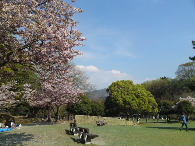 奈良公園