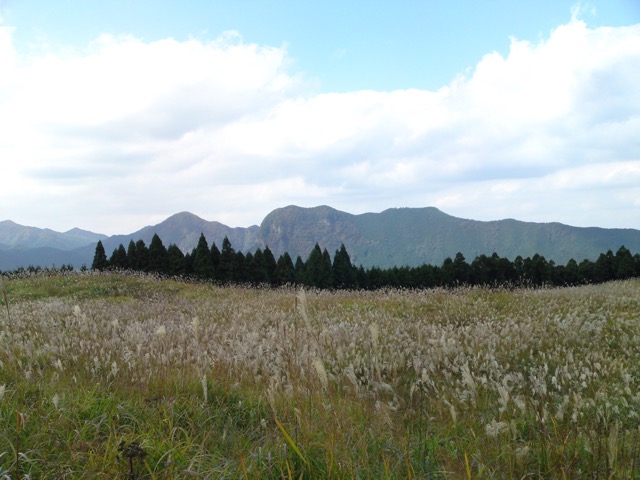 曽爾高原・秋