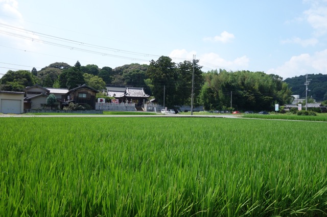 がいな製麺所・讃岐うどん