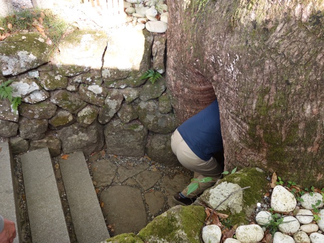 熊野那智大社