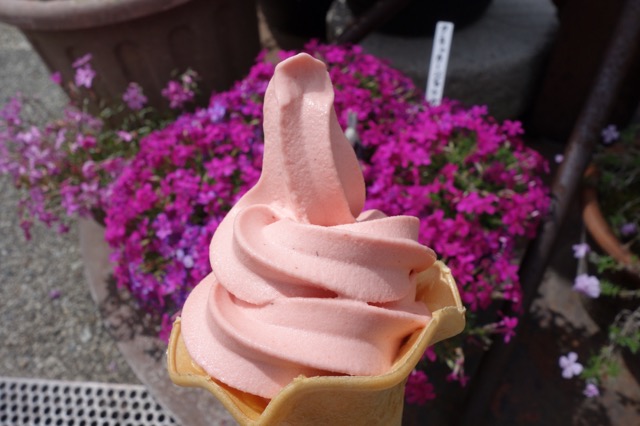花のじゅうたん
