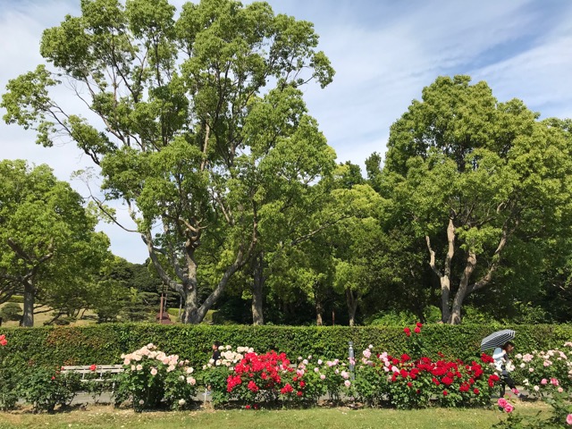 須磨離宮公園