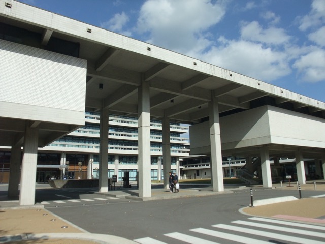 代替代替代替代替
