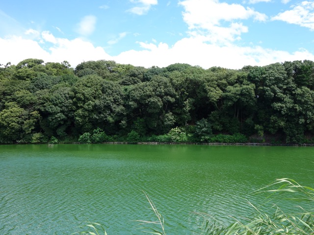代替代替代替代替
