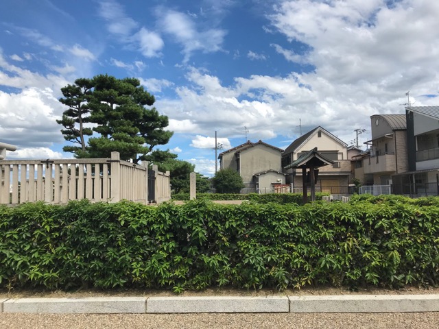 代替代替代替代替