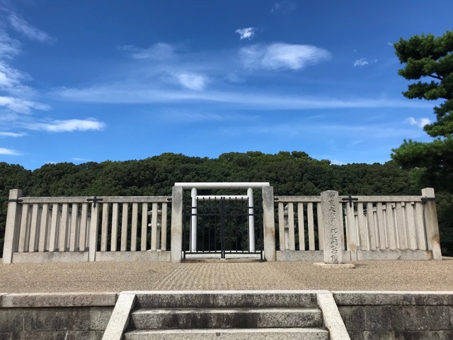 代替代替代替代替