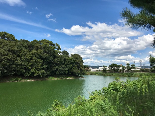 代替代替代替代替
