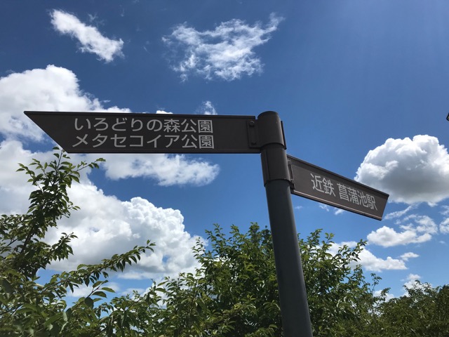 菖蒲池