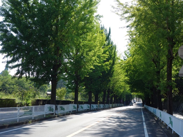 天理教教会本部